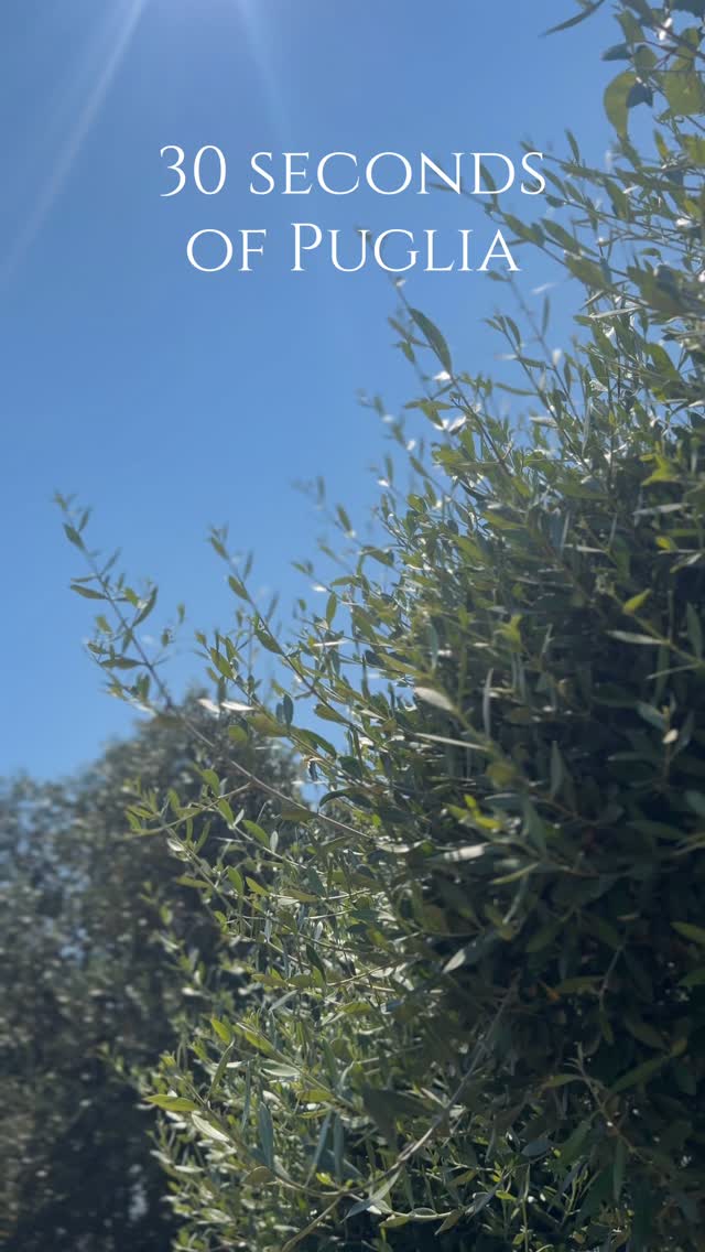 🍃☀️30 SECONDS OF PUGLIA☀️🍃
#puglia #ulivi #pugliagram #instagood