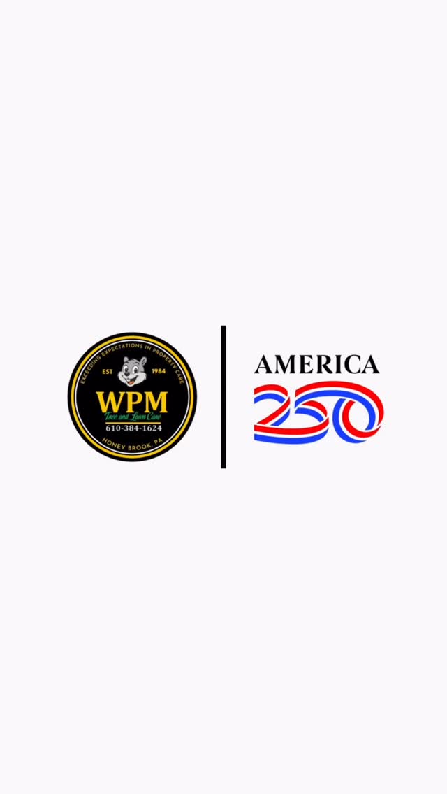 The Greatest Country in the World 🇺🇸🇺🇸🇺🇸 #wpm #willspropertymaintenance #usa #america #america250