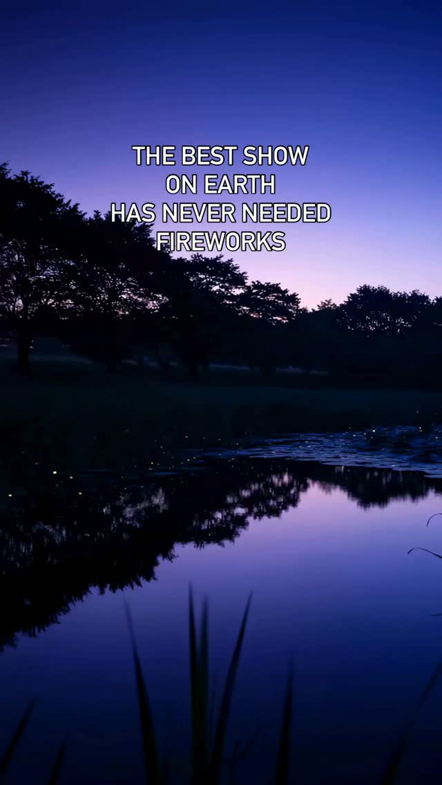 An ordinary night for millions of animals.
Until it isn’t.
#animaladvocate
#animalawareness
#wildlifeprotection
#animallover
#animalitarian