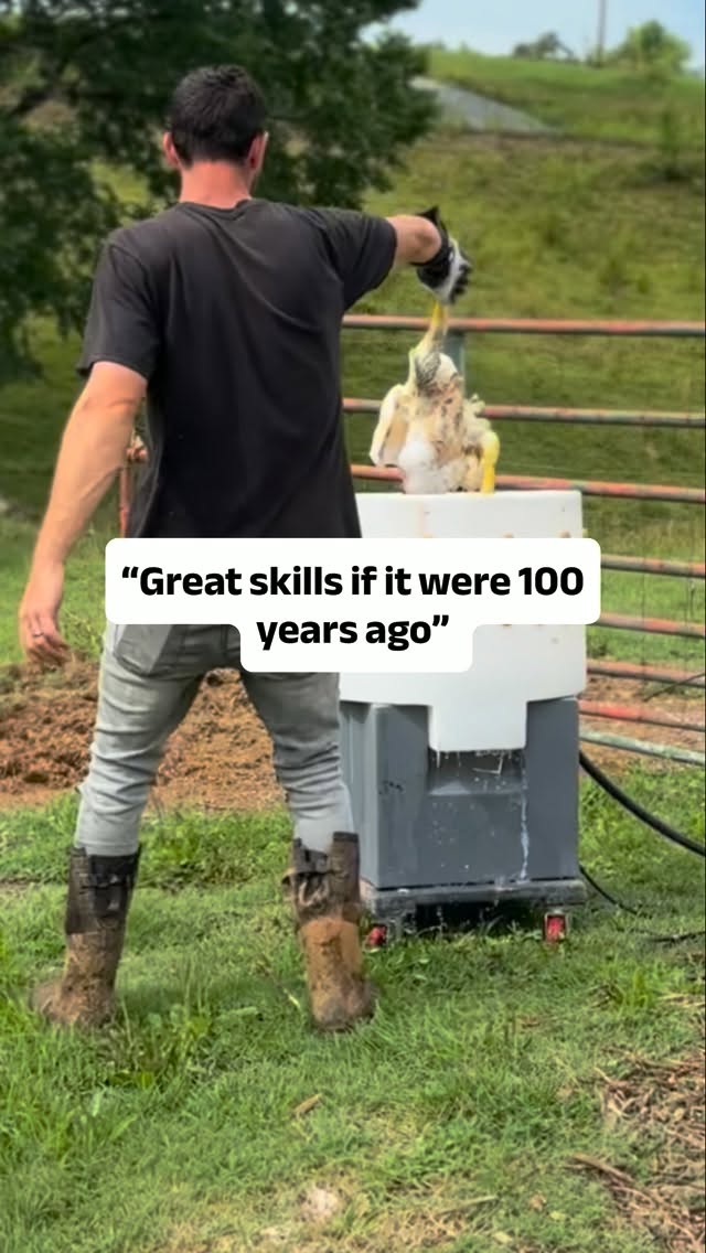 Homestead Skills and shortening the food chain for our family of 8