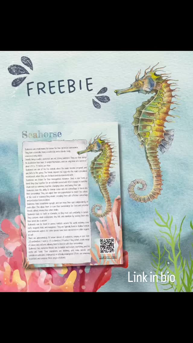 Freebie Friday//Seahorse Morning Starter.
.
The link is in my bio! Enjoy x
.
#freehomeschoolresources #learningresources #homeschoolingmom #freebie #paintingvideo