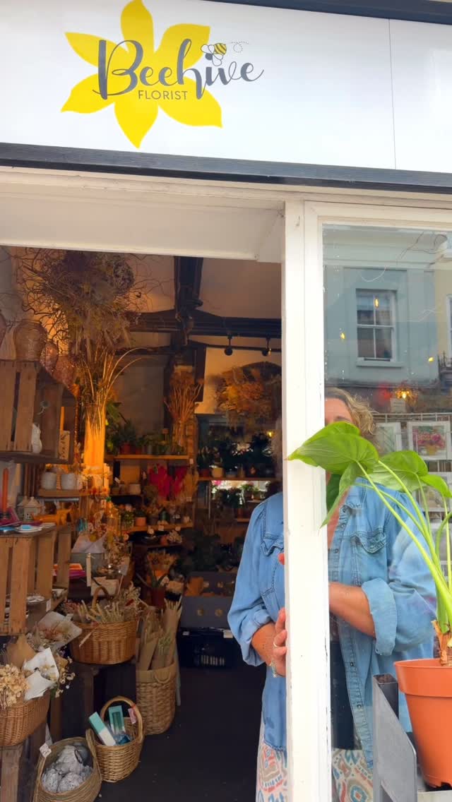 Call us, DM us, pop in and see us! Whatever works!
A full shop of blooms and fun awaits you π
π Beehive Florist
π Hereford