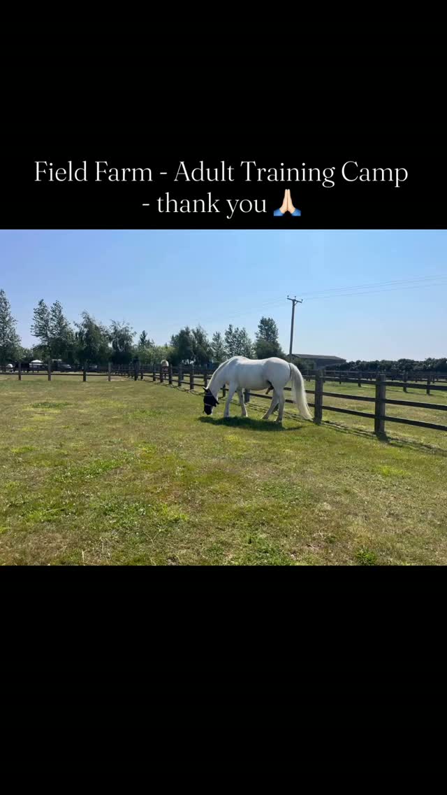 Wow 🤩 what a beautiful day yesterday 💞 thank you @freemandawn & @michaelajones at @adulttrainingcamps for inviting me to @fieldfarmhorseholidays (what an amazing venue) to offer Animal Communication heart to heart & Tarot Readings 🙏🏻 what a fantastic time chatting to all of those who booked me & of course the amazing horses 🐴 there was so much love 💞 feeling very blessed thank you 🙏🏻 #animalcommunication #horselove #tarotreadings
