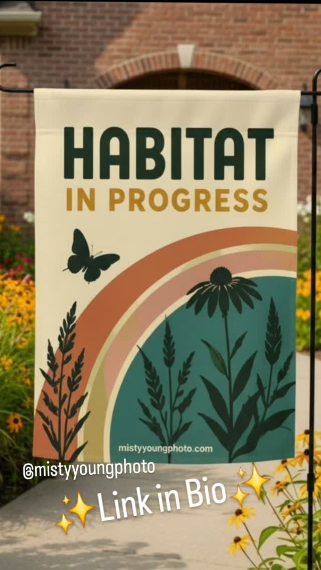 That moment when your yard stops being a yard and starts being a habitat. 🌿
This Habitat In Progress flag was made for the gardeners who pulled up the turf, ordered the native plants, and are now watching something with wings actually show up. You're doing the thing. Might as well put a flag on it.
Retro rainbow palette, butterfly silhouette, wildflowers, and a message that means exactly what it says. This one just landed in the shop — go grab it. ETSY Link in bio. 🦋
#habitatinprogress #nativegardenflag #pollinatorgarden #rewilding #nativeplants #butterflygarden #gardenflag #conservationgarden #nativegardening #pollinatorhabitat #wildflowers #monarchbutterfly #gardendecor #nativeplantgarden #butterflyhabitat #wildlifegarden #pollinators #sustainableliving #yardart #ecofriendly #butterflies #habitatgardening #gardendesign #nativeplantlover #backyard #wildflowergarden #conservationgifts
