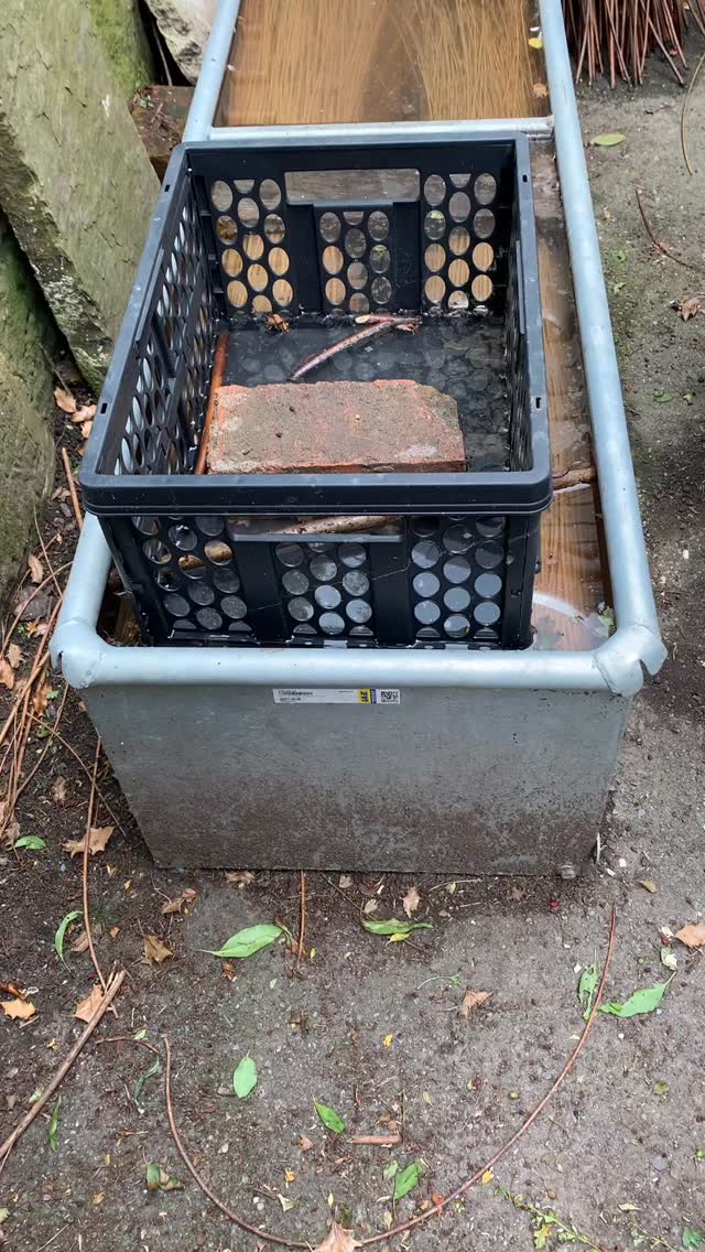 A fresh pile of willow into tank number two.
I have two of these 8 foot tanks which work well for the quantities I need. I also occasionally use soaking bags (available from my website 😉) - particularly for buff and white willow, or when the tank water is frozen.
Willow floats so I use whatever is at hand to keep it submerged. I use old scaffold board off cuts wedged under the tank bars and a plastic crate with a brick in to keep the particularly buoyant butt ends submerged.
You can find these tanks on second hand sites quite easily but they are often not much cheaper than buying new! I bought both of mine from @mcveigh_parker_est1979 .
How do you soak your willow?