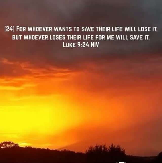 God says, “Stop putting your whole heart in hands that drop it, Come to me. I’m the safe place to trust.