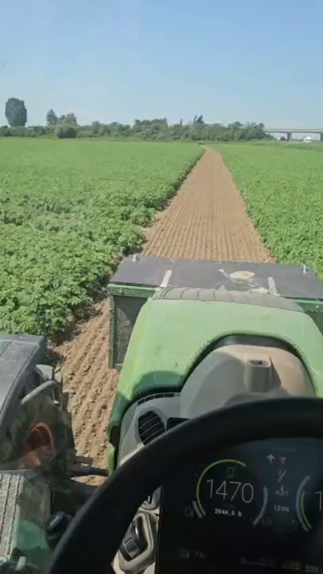 Toetje😋
Duurzaam-of regeneratief boeren vraagt om nieuwe methodes en inzichten🤓
Doordat we tegenwoordig veel meer de bodem voeden met mest, compost en groenbemesters is het belangrijk om te weten wat de plant beschikbaar heeft en wat hij opgenomen heeft⁉️📊
Dat is veel lastiger vast te stellen dan als je alleen met kunstmest werkt.
We kijken nu met een satelliet of een drone naar het gewas, hoeveel blad(loof) erop staat en wat het stikstof gehalte is🛰️
Dat laatste controleren we ook nog door bladmonsters naar het laboratorium te sturen🔬
Met al die gegevens maken we een taakkaart van een perceel en krijgt elk stukje van het veld het toetje wat hij nog nodig heeft om de perfecte aardappel te produceren✅🥔
#hoekschewaardappel
#onzeboerderij
#weetwatjeeet
#aardappelteelt
#vaniperenbv