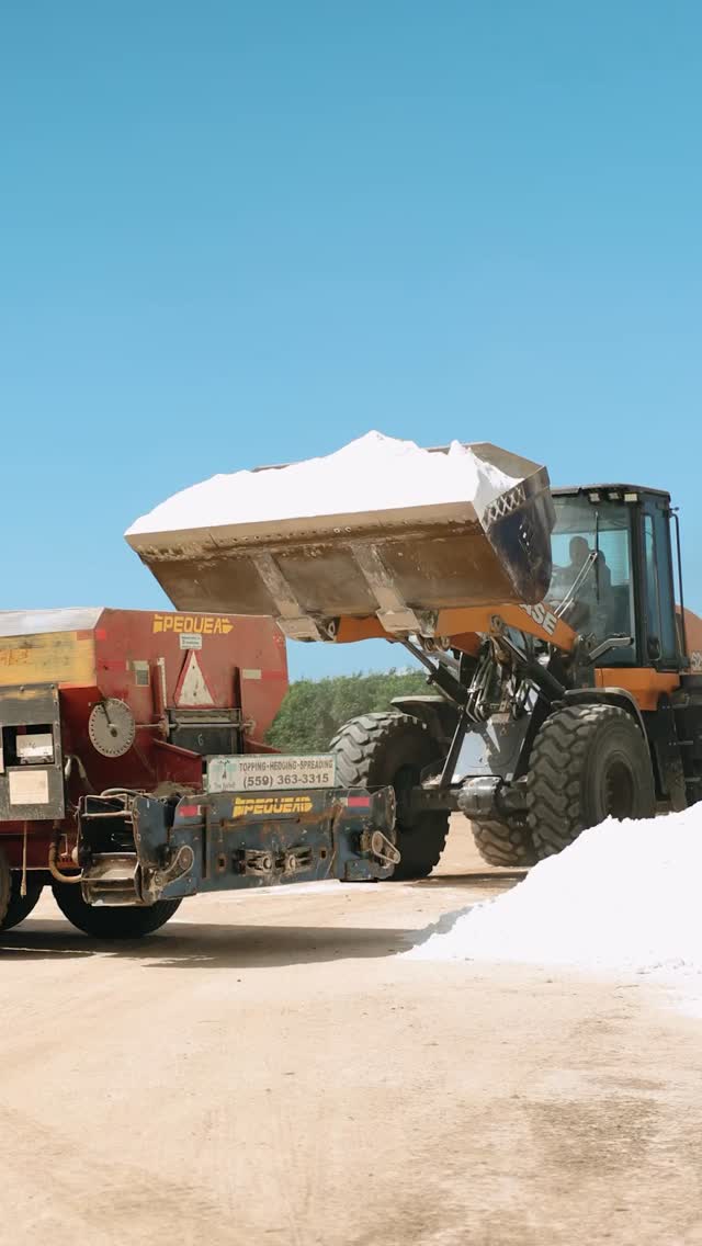 Why gypsum? Gypsum helps improve soil structure, supports better water infiltration, and creates healthier growing conditions for your trees. Our team is ready to help keep your orchard performing at its best.
📞 North Valley: (209) 564-8207
📞 Central Valley: (559) 363-3315
📞 South Valley: (559) 201-3189
#TreeBarber #SoilHealth #Gypsum #OrchardManagement #CaliforniaAg