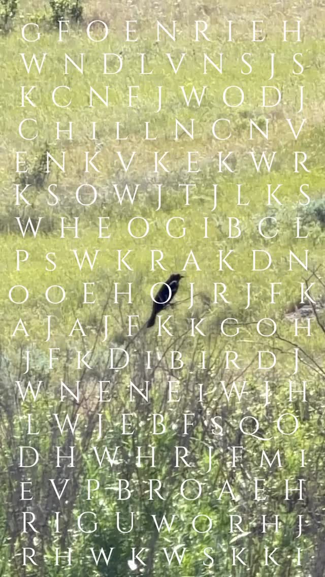 All the things in one place