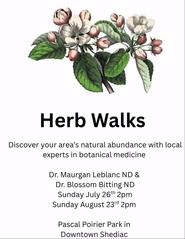 Want to learn more about wild natural medicines growing in our region? Come to one of our summer herb walks, meet at our booth at the Shediac Market at 2 pm and we’ll take you on a short walk in the area to identify local wild botanical growing in the area.