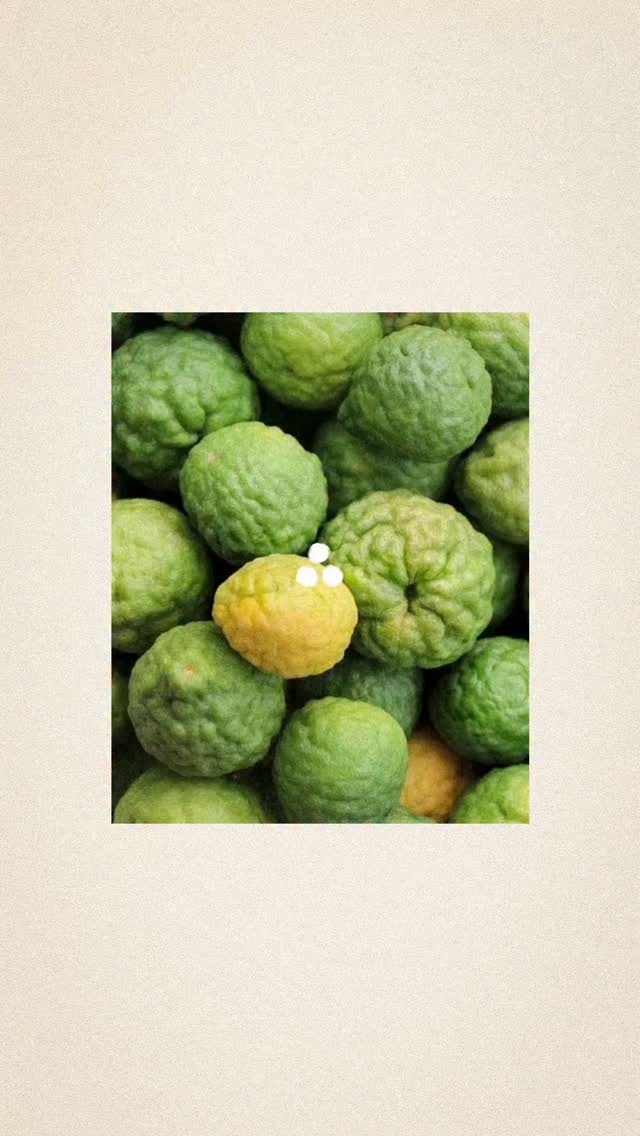 Every ingredient has a purpose. Every detail tells a story.
Therefore. Something brewing...
( Therefore, cocktails, branding, feed, fyp )