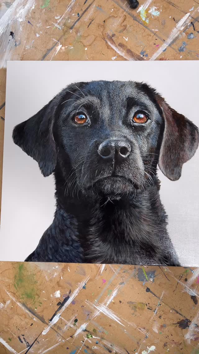 Delighted that I can now share this commission with you.
(Although I have just realised I forgot to photograph it once it was framed. 🤦🏻)
#wiltshireartist #cotswoldartist #acrylicpainting #cotswolds #petportraitsofinstagram