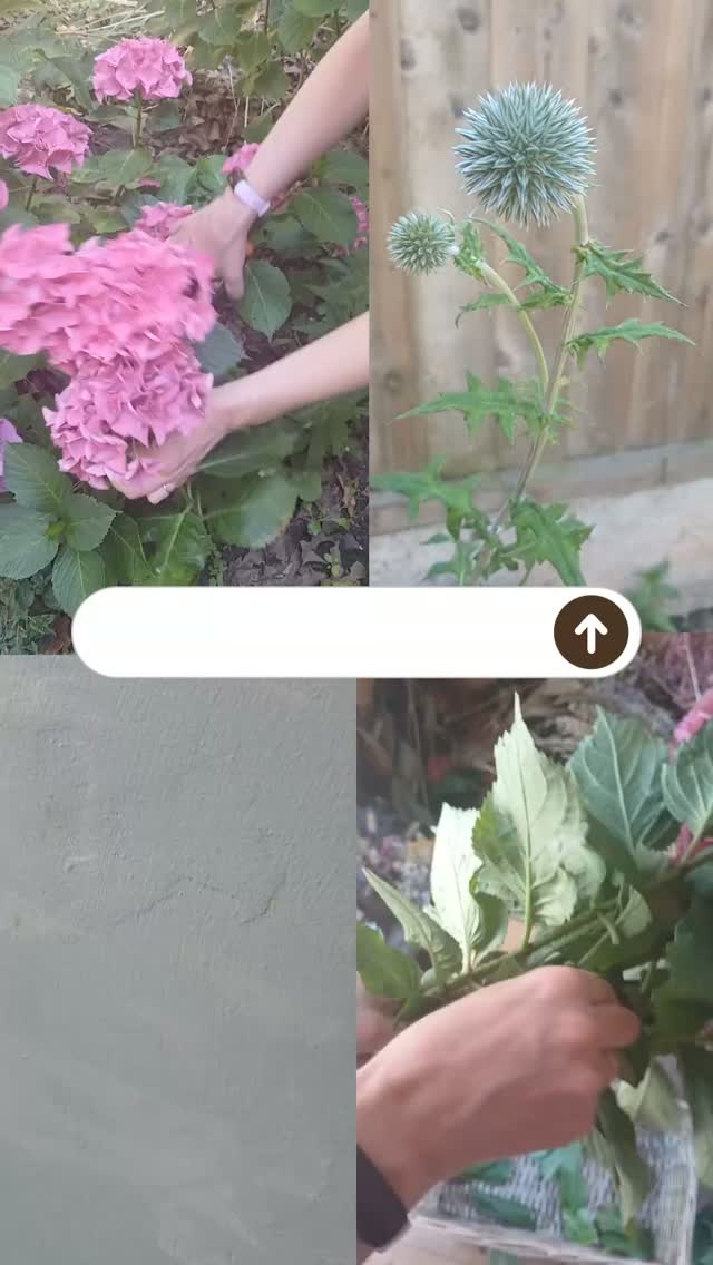 A few clips from me this hot July.
#summervibes
#softsummertones
#liverpoolflorist