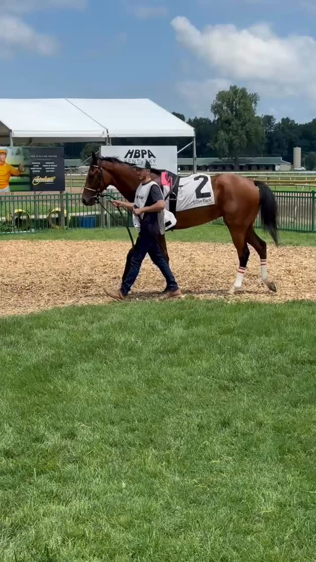 A big debut from Rye Warrior at Ellis Park! 👏
The 2-year-old filly showed plenty of promise in her first start, settling just off the pace before finishing strongly to be runner-up in a $100,000 Maiden Special Weight at Ellis Park.
Rye Warrior is part of our 2025 Yearling Partnership, and we’re excited to see what lies ahead for this talented young filly.
Congratulations to trainer Ian Wilkes and our great partners at Old Guys Rule Racing Stables and Six Column Stables on a fantastic first outing. Here’s to many more! 🥃🐎
#BourbonLaneStable #RyeWarrior #HorseRacing #EllisPark #ThoroughbredRacing #YearlingPartnership