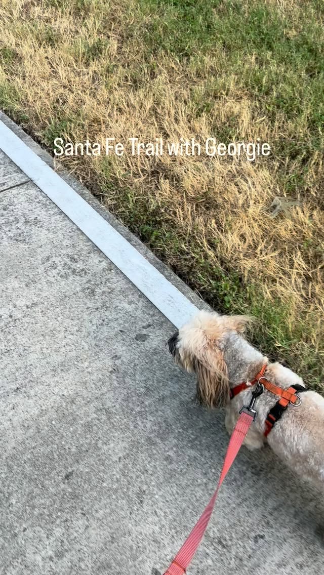 Spend Tuesday morning with me visiting my Pals!!
Pets are the best 💜
katiespetpals.com