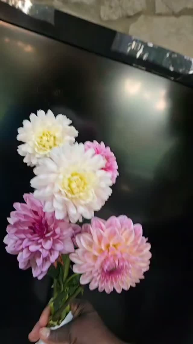 When summer calls, our blooms answer the. The blooms are blooming and being the best of the best!!! Just GORGEOUS!! This week's flower subscriptions are just breathtaking. Get your bouquet today. Local delivery or farm pick up. For that special someone, special occasion or just because you are worth having beauty all around you. Order yours today. 👩🏽🌾💐✔️✔️❤️