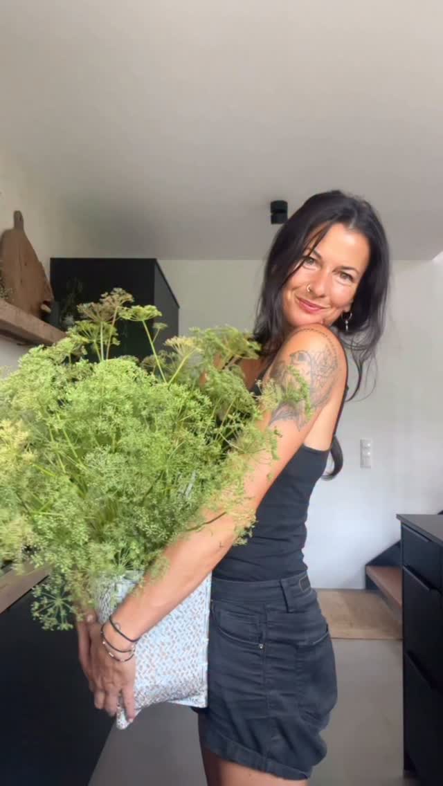 Giersch Wolke 🤍🌿
Wie eine kleine Wolke aus Blüten bringt der Giersch Ruhe, Leichtigkeit und Natur in deine vier Wände. Manchmal braucht es nicht mehr als sich mit einer Pflanze liebevoll zu beschäftigen um wieder bei sich selbst anzukommen!
🌿 Der Giersch
ist eine der nährstoffreichsten heimischen Wildpflanzen! Er enthält unter anderem viel Vitamin C, Mineralstoffe wie Kalium, Magnesium und Eisen sowie wertvolle sekundäre Pflanzenstoffe!
🌿 Traditionell wurde er besonders bei Gicht (daher auch sein botanischer Name), Rheuma und entzündlichen Beschwerden geschätzt. Seine sanft entwässernde und stoffwechselanregende Wirkung macht ihn zu einem tollen Helfer!
🌿 Für die Seele steht der Giersch für Anpassungsfähigkeit, Lebenskraft und Fülle. Er zeigt uns, dass wahre Stärke oft leise ist. Er wächst beharrlich weiter, findet seinen Platz und schenkt dort Leben!
🌿 Als Blumenstrauß bringt er genau diese Energie in dein Zuhause. Er ladet dich ein den Blick auf das Einfache und Natürliche zu richten und erinnert uns dass Schönheit oft direkt vor unserer Haustür wächst!
🤍🌿 Vielleicht ist genau das die Botschaft vom Gierschs:
Hab Vertrauen in dich, Geduld und spüre die leise Kraft die von innen kommt 🤍
Alles Liebe, deine Meli mint
#giersch
#wildpflanzen
#deco
#homedecoration
#kräuterliebe