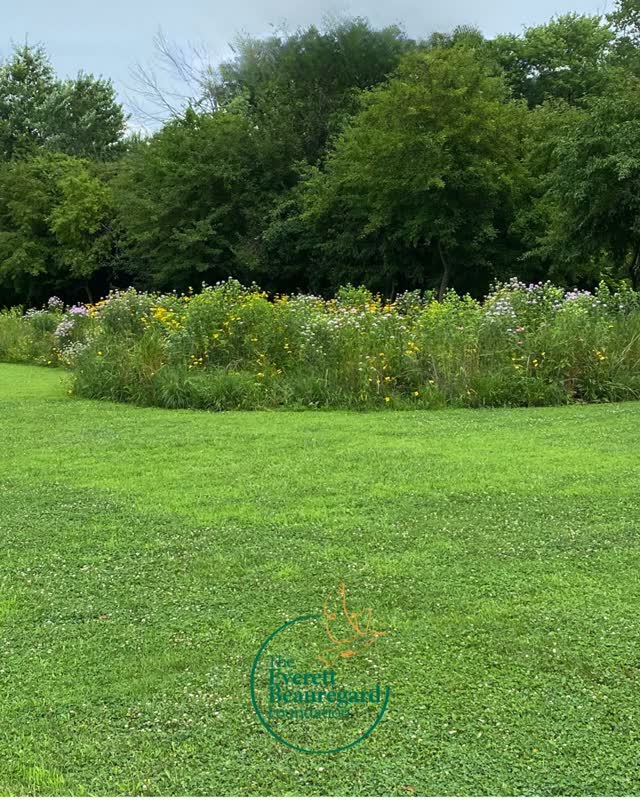 In the stillness of a summer meadow, there's room to wonder.
It’s where I do my best thinking. How does it inspire you?