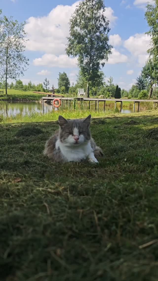 🌳 Some places are made for passing through.
Others make you want to stay a little longer.
🚐f you're travelling through Lithuania by camper, YKD Camping "Land" is a peaceful place to slow down, recharge, and enjoy nature.
Your peaceful stop in Lithuania is waiting ✨✨✨
#campsitelithuania #lithuaniancamping #camperstop #campinglife #visitlithuania