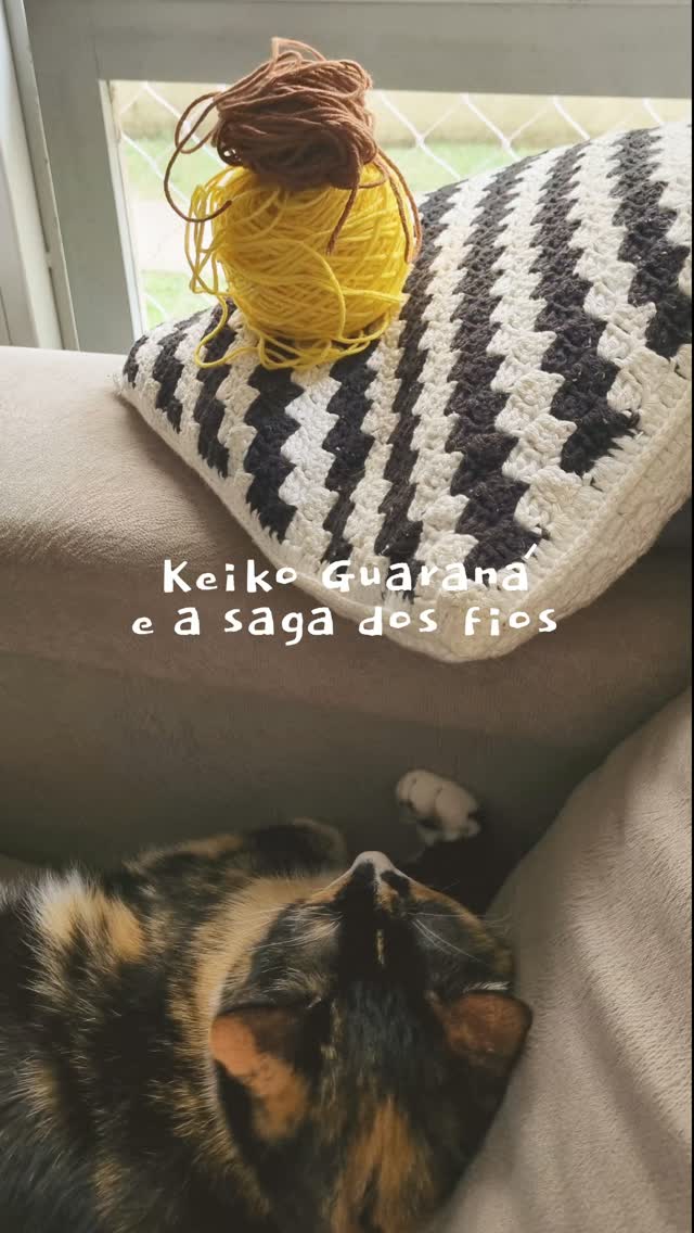 Keiko Guaraná e a saga dos fios.
Sério. Se eu não colocar em caixa, já eram meus novelos 🤣 por aí também??