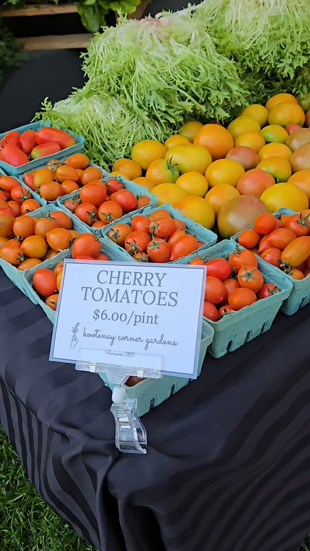 It's tomato season!! 🍅 Feels like summer ☀️ See you at the @nelson.farmers.market at Cottonwood 9am-2pm!
#kootenaycornergardens #nelsonfarmersmarket #supportyourlocalfarmer #tomatoseason