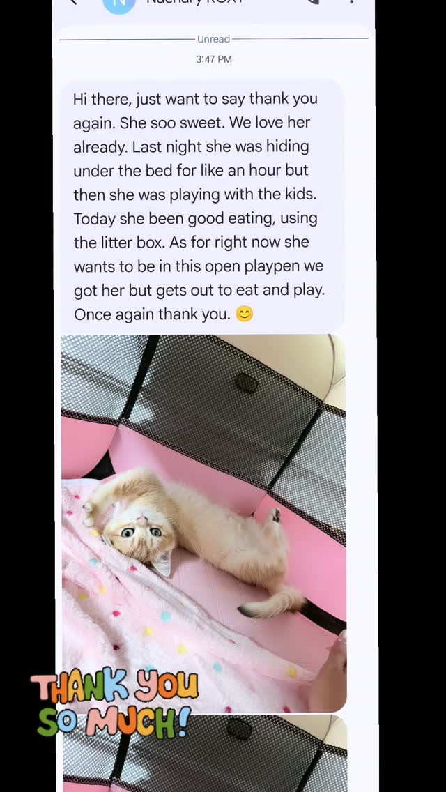 ๐ Another baby, another home ๐ก Miss ROXY is now residing in INDIANA. We are able to add a new pin ๐ to our locations map and another heart into a lovely home ๐๐ซถ