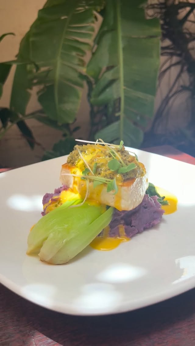 Slow down. Soak up the sunshine. Feel the island breeze in your hair.
Then settle in for a meal that’s crafted to be savored.
Our Cilantro Mac Nut Crusted Fresh Catch is served with creamy Molokai sweet potato mash and finished with a vibrant mango beurre blanc sauce—a perfect taste of the islands in every bite.
Life is better when you take your time. Join us and savor the moment.
#FreshCatch #FarmtoTable #SupportLocal #HawaiiEats