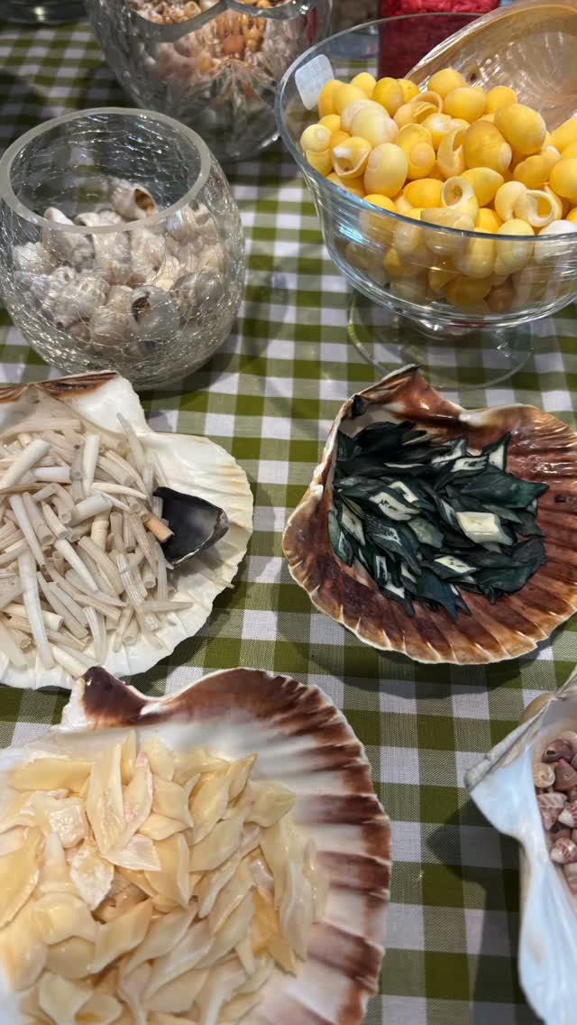 🐚 We have a lovely selection of seashells available in the shop at the moment.
Only £1 for an envelope full!
📍 Find us in the centre of town:
11, The Pollet (Beatrice House)
St Peter Port
GY1 1WQ
Don't forget, if you need support, please get in touch:
☎️ 01481 227470
✉️ hello@healthconnections.gg
www.healthconnections.gg
#creatingconnectedcommunities