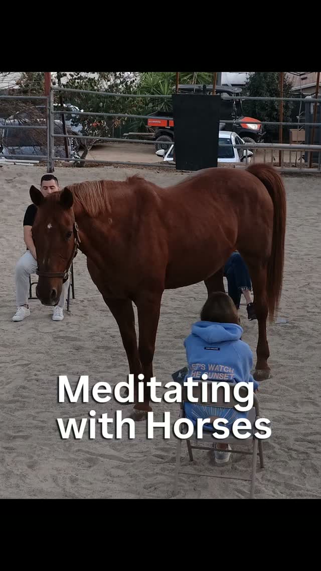 This is a small group meditation with horses.
Come slow down, quiet your mind and become more present.
Horses bring a sense of calm, connection and grounding.
Augist 15th 7PM $45
These events support Special Spirit
Registration link is on the bio
Space is limited