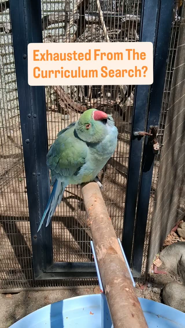 🫠The search for homeschool curriculum and resources can be exhausting and overwhelming. Let me help! I've got a one-stop shop to find all the homeschool support, encouragement, and resources you'll need. From getting your start, to supporting your homeschooling goals, to printable worsheets, to filling in your lesson plan- I've got it all! Visit jwlearningadventures.com for a homeschool treasure trove that will inspire and relieve you.😃
👋Join the learning adventure! Get homeschool support, encouragement, resources, and fun straight to your inbox! Sign up for FREE at jwlearningadventures.com
🧡Learning is a lifelong adventure- let's make it a fun one!
#homeschoolhumor#homeschoolcurriculum#homeschoolhelp#homeschoolresouces#jointheadventure