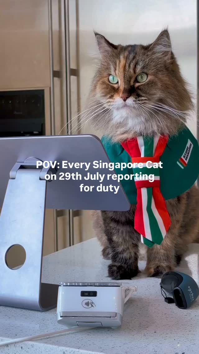please don’t mind her rbf… she’s still a trainee cashier 👀 @7elevensg
•
•
•
#7eleven #7elevensg #pawmanager #7elevenpetcollar #singapore