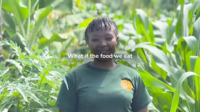 We are now LIVE!! ForestFoods Regenerate Kenya Indiegogo campaign is open for pledging! 💪
For the past decade, we’ve been proving that farming can nourish people, restore land and create more value where food is grown. Now we’re taking the next step: building a regenerative coastal nucleus in Shimba Hills.
This is not just planting. It’s nursery work, soil-building, water systems, training, harvests, processing and long-term opportunity, all rooted in a model designed to grow over time.
When the campaign goes live, every pledge helps us build the foundations for the next ForestFoods system.
Please save this post, share it with someone who believes food systems can do better, and comment below to help this reach more people today.
Indiegogo launches at 4pm EAT. Link in bio.
#ForestFoods #RegenerateKenya #Indiegogo #ShimbaHills #KenyaCoast #RegenerativeAgriculture #SyntropicAgroforestry #FoodForests #SupportRegeneration