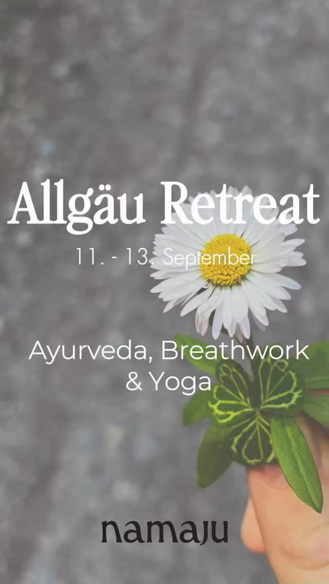 Eine leise Sehnsucht nach mehr Nähe zu dir selbst.
Das Allgäu Retreat ist keine Flucht aus deinem Alltag – es ist eine Rückverbindung zu dir. Drei Tage, um zu spüren statt zu funktionieren. Um da zu sein mit dem, was gerade in dir lebt.
Mit Yoga, Breathwork und Ayurveda als Rahmen. Mit der Weite des Allgäus als stiller Begleiter.
📍 Maierhöfen im Allgäu
📅 24.–26. April & 11.–13. September 2026
Wenn du spürst, dass es Zeit ist – schreib mir. Link in Bio 🤍
#breathworkretreatdeutschland #holisticcoaching #nervesystemheilen #ayurveda