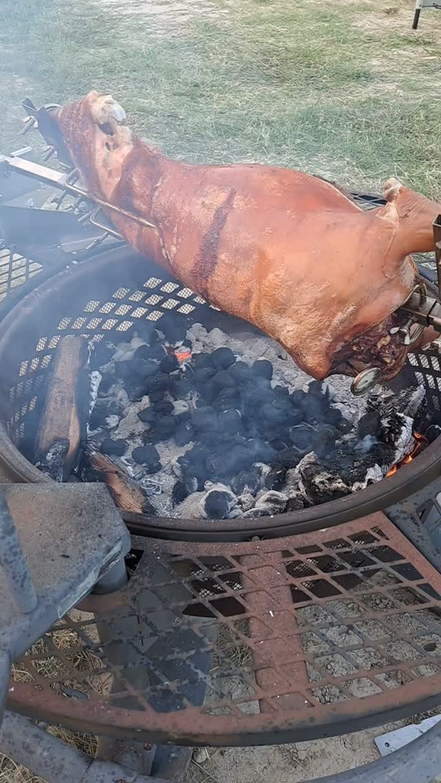 Eating dinner a little late tonight, but I think it's gonna be worth it! 🥓
#farmtotable #pasturedpork #lechon #wholehogbbq
