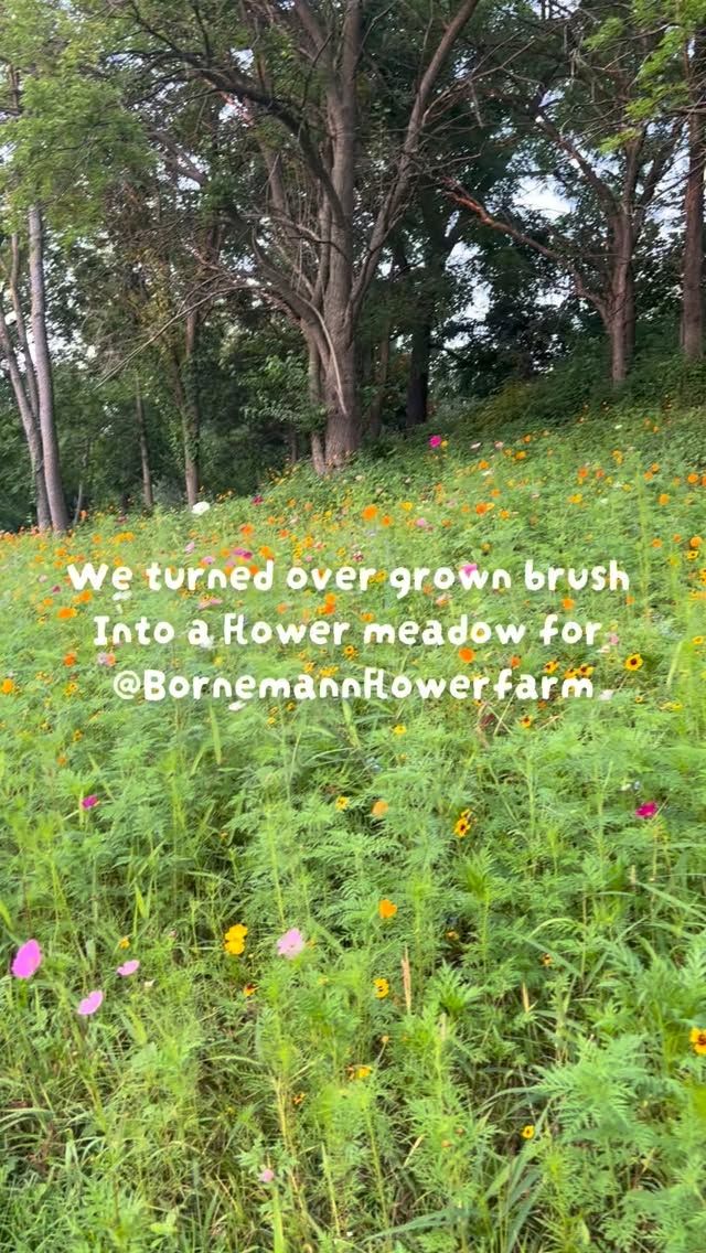 From overgrown brush to a flower meadow. 🌸
One of our favorite transformations to date. It’s always rewarding to turn neglected ground into something people can enjoy for years to come.
#Transformation #BeforeAndAfter #ForestryMulching #FlowerMeadow #PrimeHabitatManagement LandManagement Illinois