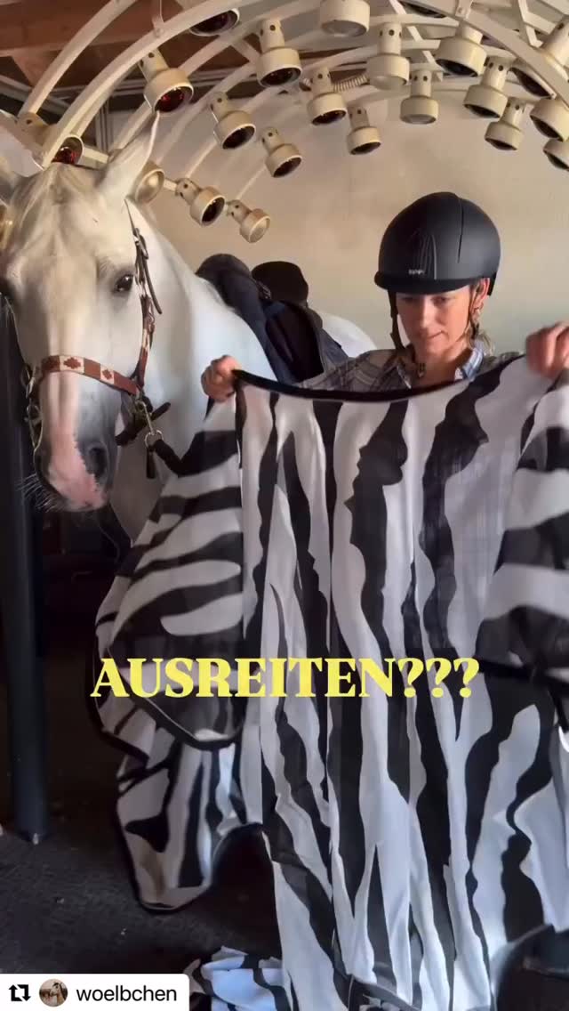 #repost @woelbchen & @bucas__official
Buzz-Off Riding 🦟
