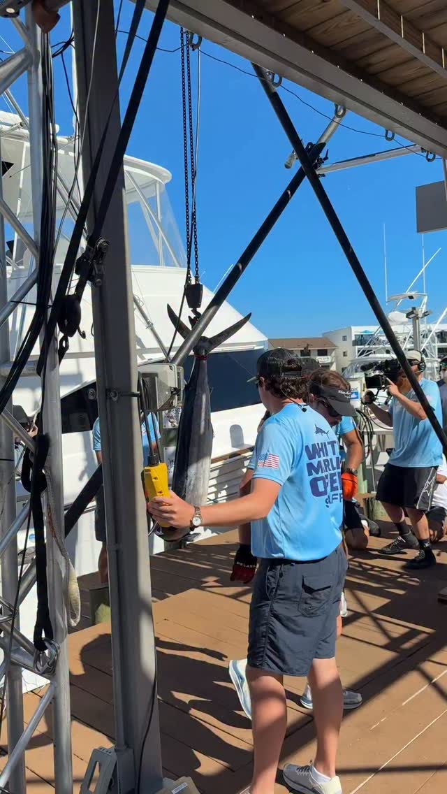 NEW 2ND PLACE WHITE MARLIN! 71.5LBS!
@white_marlin_open
Boat: Reel Hunter from St Micheals, MD