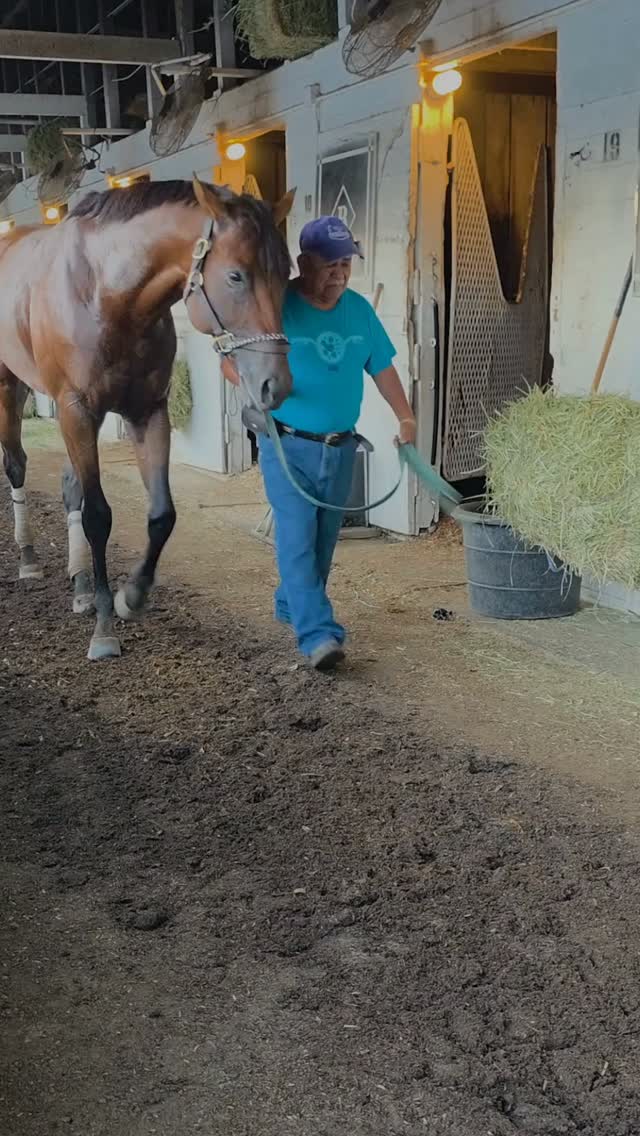 Mornings. Powered by caffeine and horsepower. πͺ
A short starring:
Mesero / Four Dimes / Quentin B / Aunt Sheryl / Sovereign Spirit / Find No Fault / Jack's Promise / Elewene / '24 Cyberknife filly / Cosmic Creed / Tajin Time / La Bella Maria / and our team of humans!
