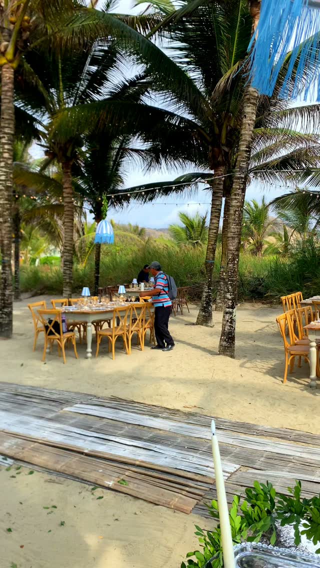 The Coconut. Where dreams come true.