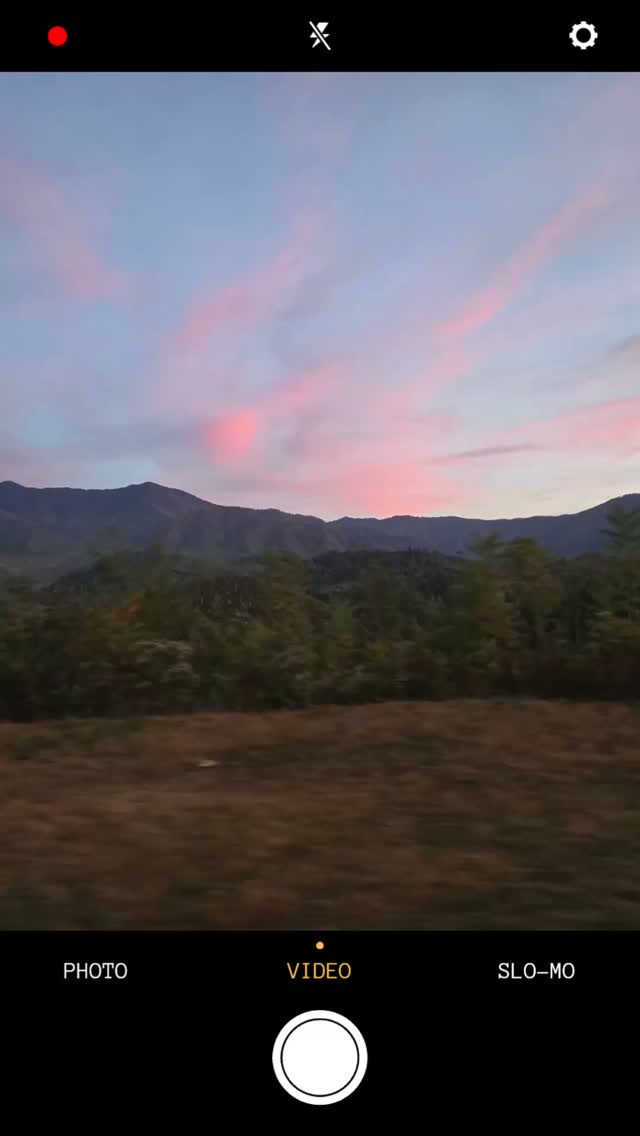 What if you could take a little piece of your Smoky Mountain vacation home with you? 🏔️❤️
Not a souvenir from a gift shop.
Something you made.
A scent that reminds you of the cabin.
A candle that takes you back to that weekend with your girls.
A perfume that becomes your vacation scent.
A room spray that makes home smell like the mountains.
That's the kind of souvenir we love.
Come make something that's uniquely yours while you're in Gatlinburg. ✨
📍 Southern Timeless Candles Candle Bar
Gatlinburg, TN
#SouthernTimelessCandles #Gatlinburg #SmokyMountains #GatlinburgVacation #SmokyMountainVacation #GatlinburgExperience #MadeInGatlinburg #SmokyMountainMemories #CreateYourOwn