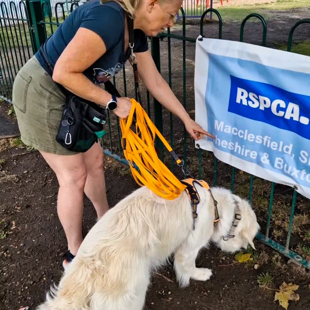 Today, it was a great 'sign' #mantrailing in #wilmslow! Our 2 more experienced teams both started their trails from scent on a sign! There was sign of a break from the heatwaves and a sign of good things to come from our new starter today, who absolutely smashed it!
Team Olive did some great junction work, focusing on the importance of allowing our dogs to work while the handler is in the passive zone. Some great work from this team to find their person followed by a lovely, methodical finish finding their 'lost' dog. Great work Team Olive 👏 👍 👌
Bonnie can get a little giddy and although today was no exception we noted her continued focus on ground scent and her behaviours when she is a little off the trail. She really works well and particularly so when she has a good trail to follow, even if that's laid by a dog so she perfectly ignored all our false tracks. Well done Team Bonnie 👏 👍 🙌
It's fair to say that Sprocket, a working-line #GWP has spent his adolescence reading the mantrailing handbook and took to it with confidence and ease. A perfect start from this lad and great handling from his teammate too. We really look forward to seeing Team Sprocket's progression! Well done Team Sprocket 👏 🙌 😀
👉 August sessions are all booked
👉 September 50% full
👉 October sessions have just been listed
If you want to try mantrailing with your four-legged buddy, get booked on today.
Check out www.DogTrailing.co.uk to learn more.