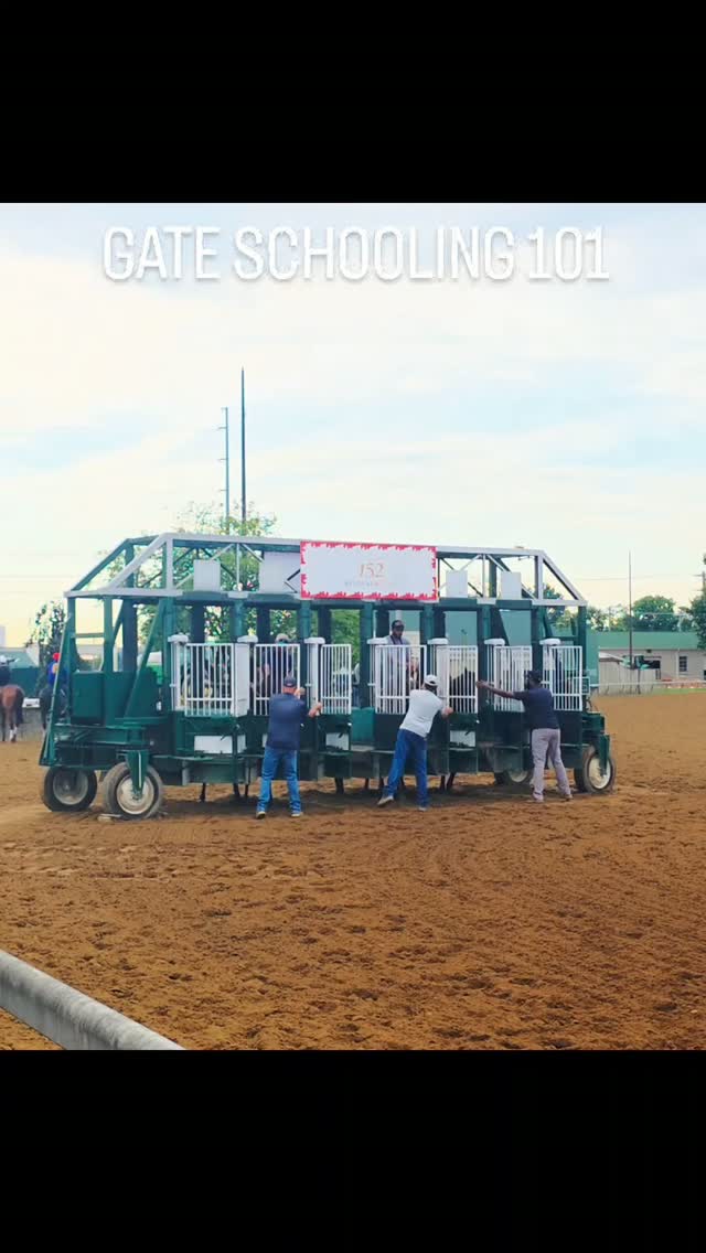 It takes alot of time and patience to teach the youngsters how to break from the gate. Our riders (and the @churchilldowns gate crew) do an excellent job with both. LtoR: '24 Liam's Map unnamed filly, Epicenter colt NICKYB and Mineshaft colt BLACK HORSE PIKE
