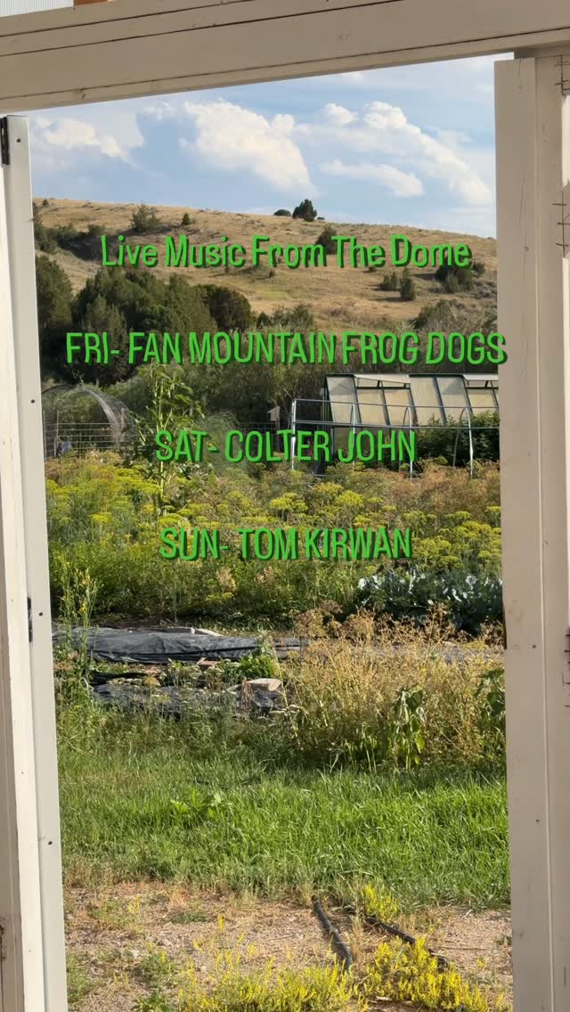 If you’re looking to support live local music