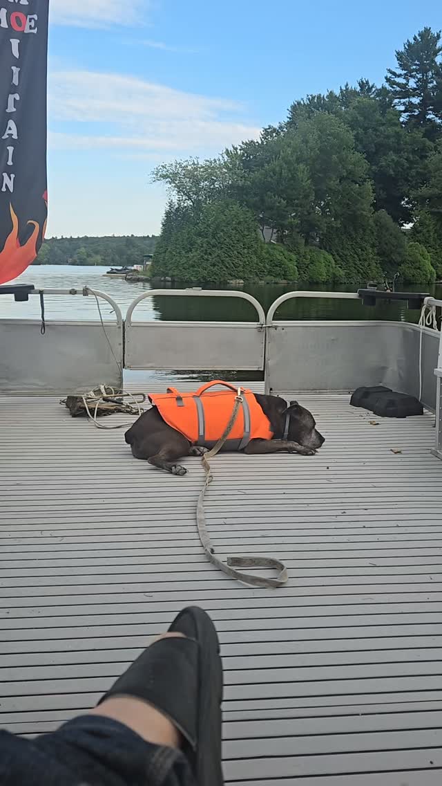 #moemountainhotsauce #lakelife #doglife #dogrescued #westmilford