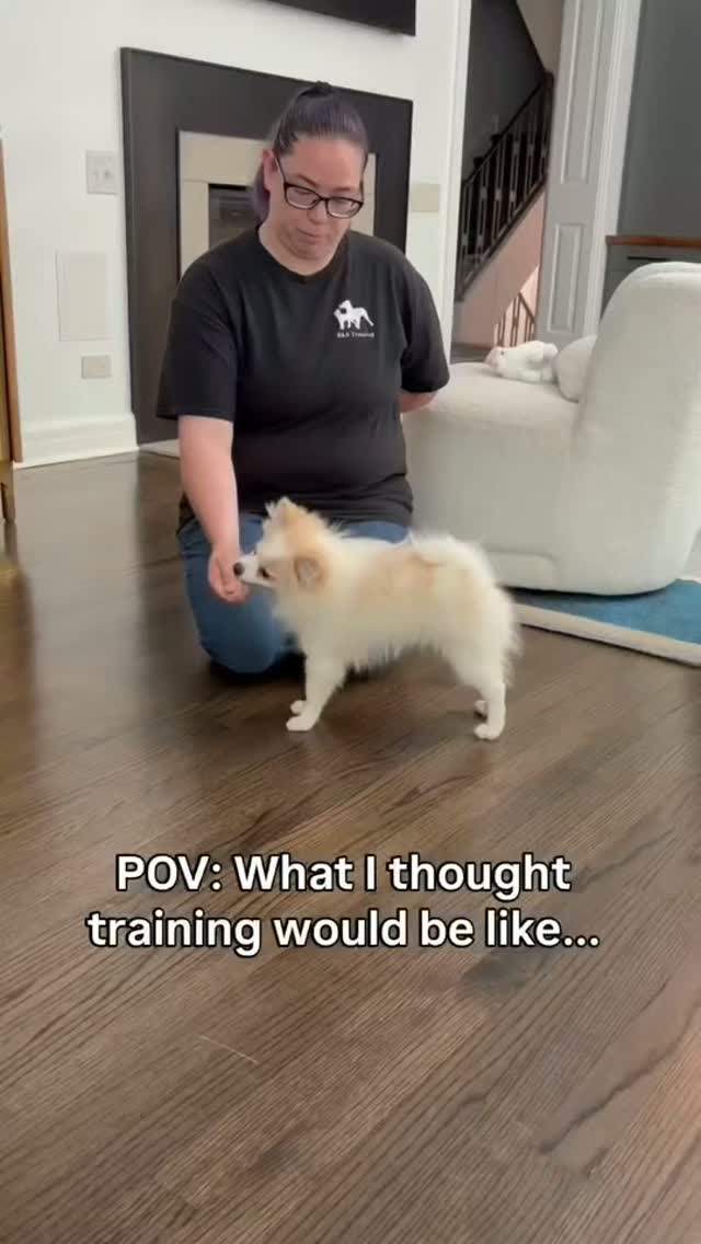 Training for hours everyday sounds exhausting 😴 for you and your dog
When you look at actual learning tho....
Your dog is only absorbing a small bit of that due to being tired.
It's like being in school all day long. Do you remember every word from your Spanish 101 class? No.
🍝 But what you actually need is to make dinner without your dog flipping out
👽 Go on a walk that doesn't make you feel like an alien on a new planet
🛀 Take a shower in peace
That's what I focus on in my training
Ready to start living life again? Send me a DM so we can chat and I'll give you a tip that you can do right now. No strings attached