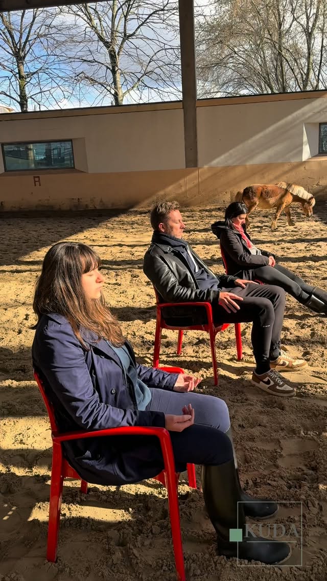 Et si vous vous accordiez une véritable pause au milieu des poneys ?
La sonothérapie associe les sons et les vibrations des bols tibétains à la présence apaisante des poneys en liberté.
Au fil de la séance, les vibrations invitent le corps à relâcher les tensions, à ralentir le rythme des pensées et à retrouver un état de détente profonde. Les poneys, libres de leurs mouvements, peuvent choisir de s’approcher des participants, créant des instants spontanés de connexion, de douceur et de réconfort. 🐴🎶
Une expérience sensorielle hors du temps pour :
🌿 favoriser le lâcher-prise
🌿 apaiser le stress et les tensions
🌿 revenir à ses sensations corporelles
🌿 profiter de la présence réconfortante des poneys
🌿 se reconnecter pleinement à l’instant présent
Envie de vivre cette parenthèse de bien-être au milieu des poneys ? Contactez-nous pour découvrir nos prochaines séances. 🤍
#Sonothérapie #BolsTibétains #BienÊtre #Relaxation #LâcherPrise MédiationÉquine Poneys ReconnexionÀSoi KUDA