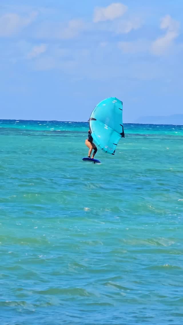 Let's take smaller gear ! ✌️😎
Et vous, vous avez choisi quoi en taille de planche pour débuter ? Ici maud est passé de 155L à 125L puis 105L en fonction de sa progression.
Une board plus petite est plus légère, plus maniable et permet de partir plus facilement.. mais c'est plus difficile de s'équilibrer à faible vitesse !
Dans notre école, on adapte le materiel à votre niveau, cest l'occasion aussi d'essayer et de trouver la bonne taille avant d'acheter 🤙🏝
#wingfoil #guadeloupe #fwi #caribbean #wingfoilguadeloupe
