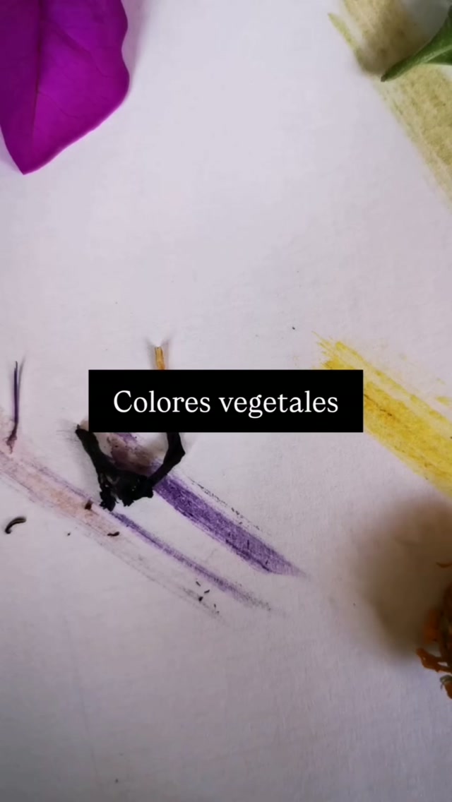 Las plantas no solo nos regalan belleza, alimento y medicina. También nos regalan colores para echar a volar la imaginación y crear.
#colores #tintesvegetales #tlapalli #tlacuilo #codicedelacruzbadiano