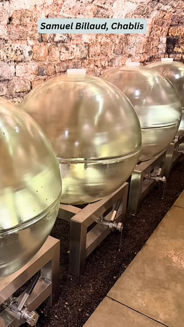 Released in 2024, check out the producers that have opted for the 400L @wine.globe for their 2026 vintage needs! #bouchardcooperages #wineglobe #famillepaetzold