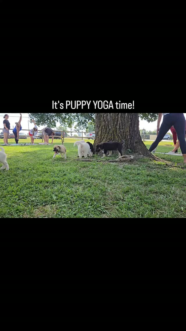 🐕 2 WEEKS UNTIL PUPPY YOGA!
Join us for a flow for a cause.
All proceeds go to @spacarok
RSVP via DM or on our Facebook event.
🌱